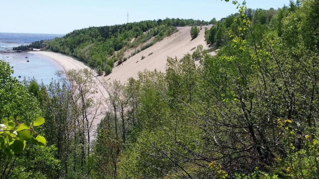 Whale Spotting from Shore