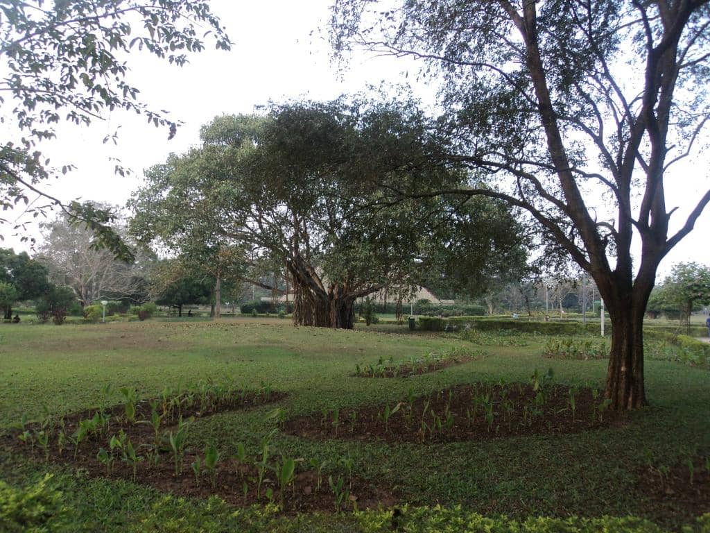 Artificial Lake & Boating