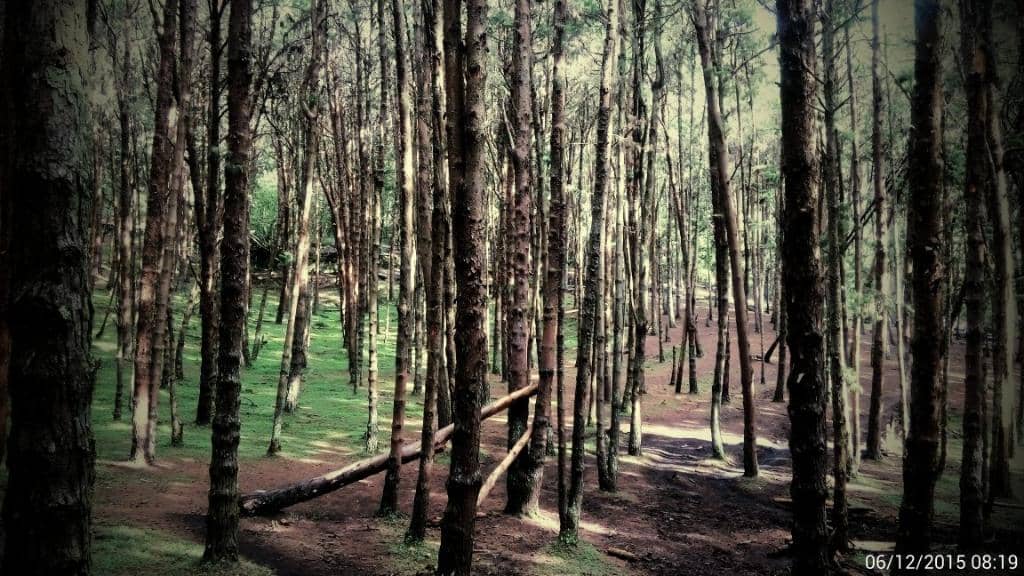 Scenic Photography Spots