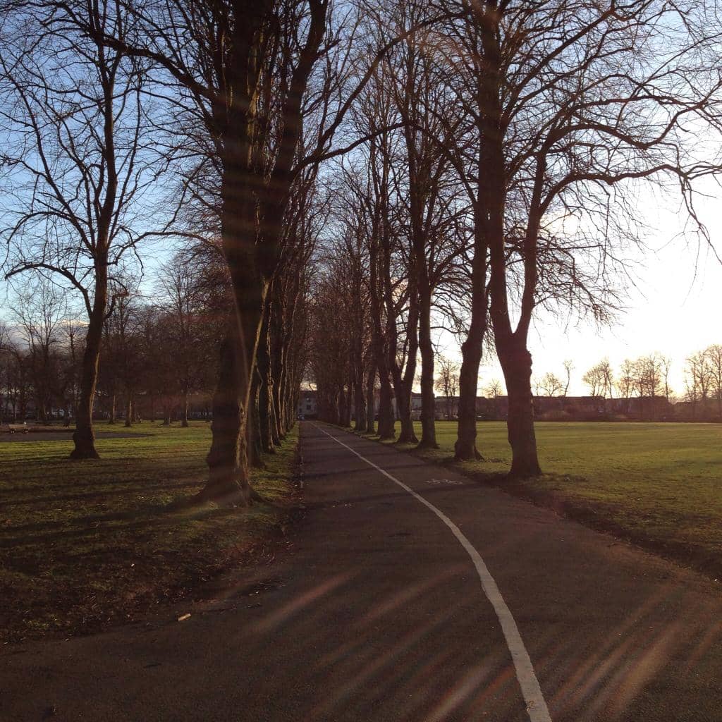 Orange Farmers Market