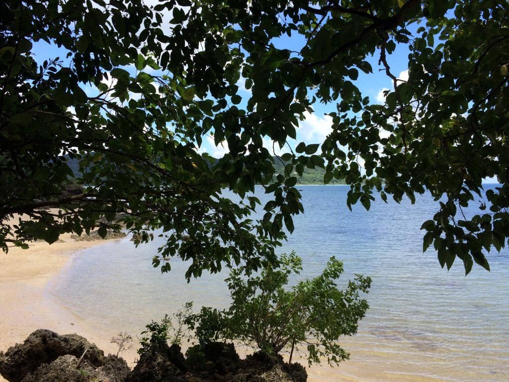 Secluded Beach Access