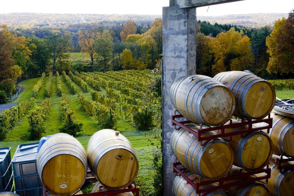 Goose Watch Wines