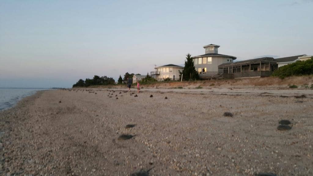 Lynde Marsh Conservation