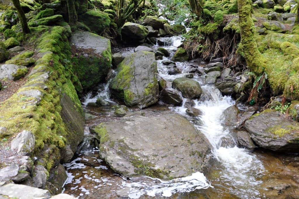 Panoramic Valley Views