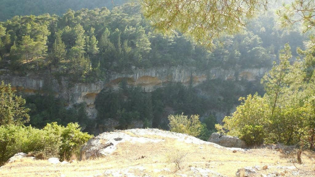 Rope Jumping Adventure