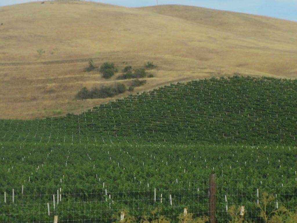 Harvest Season Spectacle