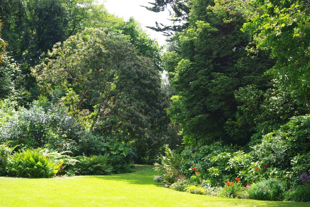 Botanical Garden & Greenhouse