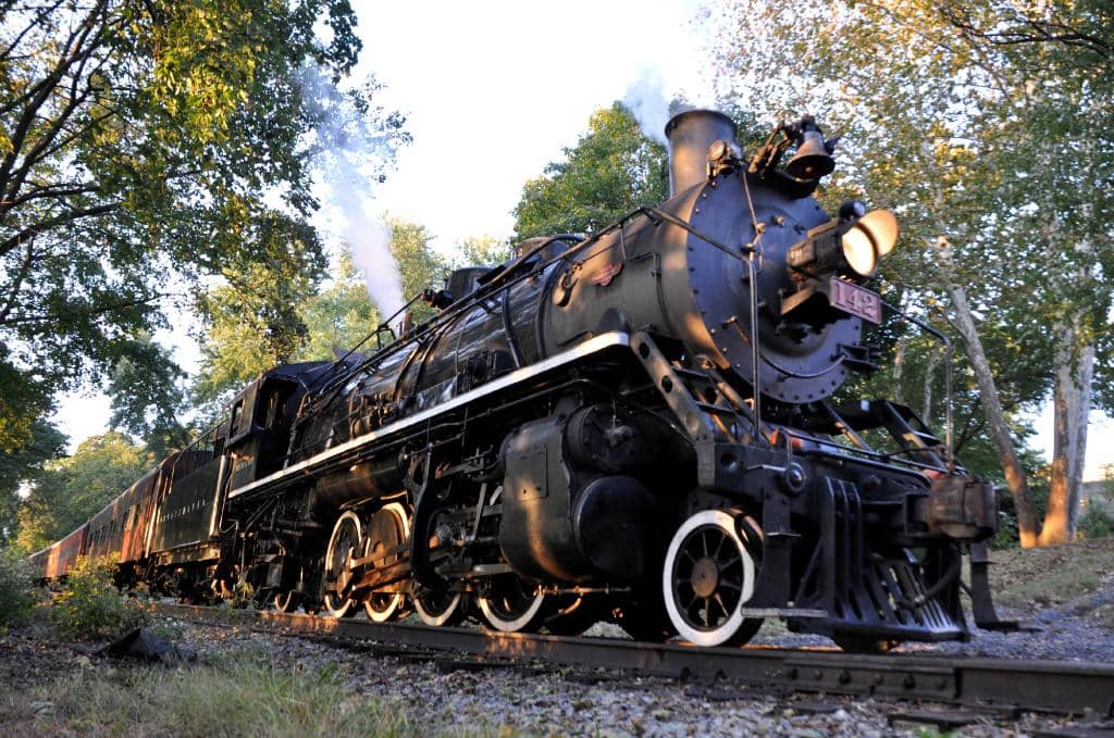 Pumpkin Picking & Activities