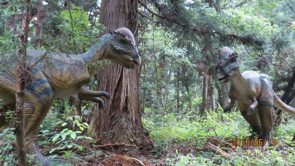 Kid-Friendly Playground & Rides