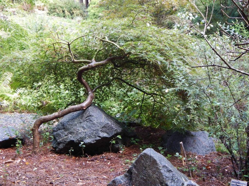 Sculptures and Water Features