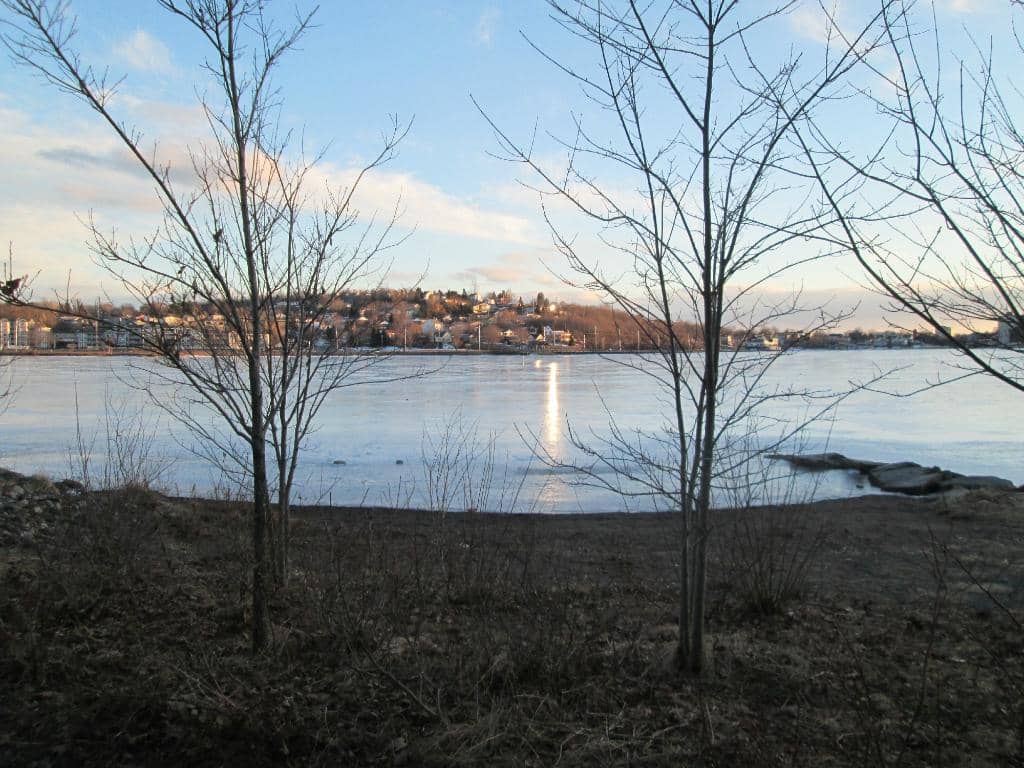 Vertical photo