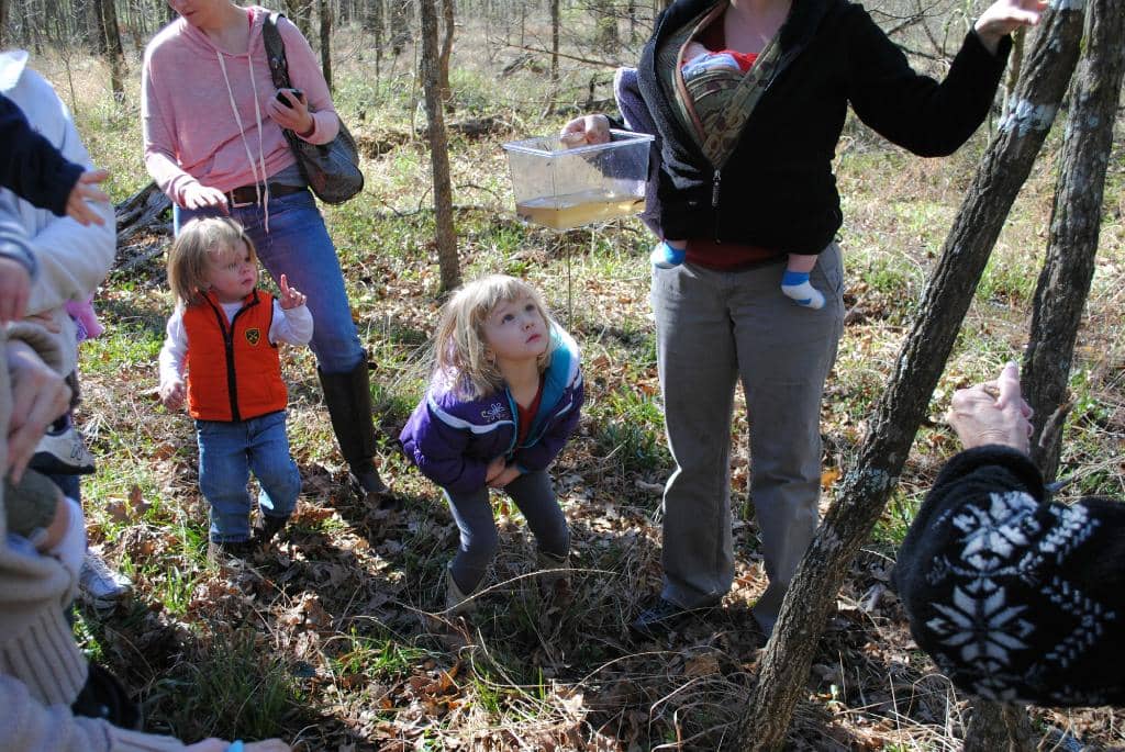 Diverse Hiking Trails