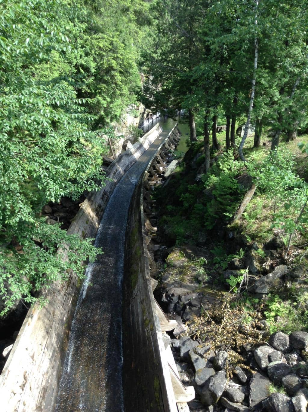 Vertical photo