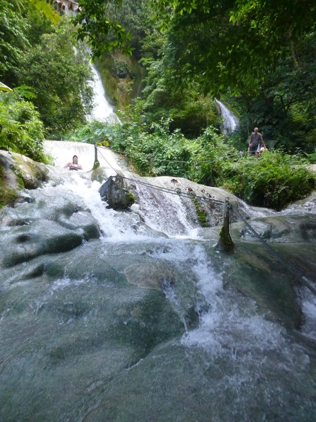 Rainforest Hike