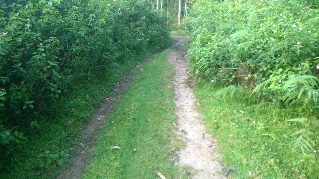 Chinnakanal Waterfalls