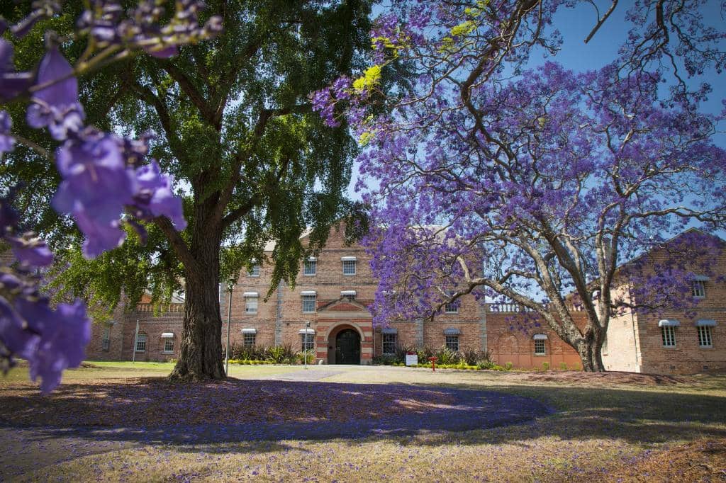 Whitlam Institute