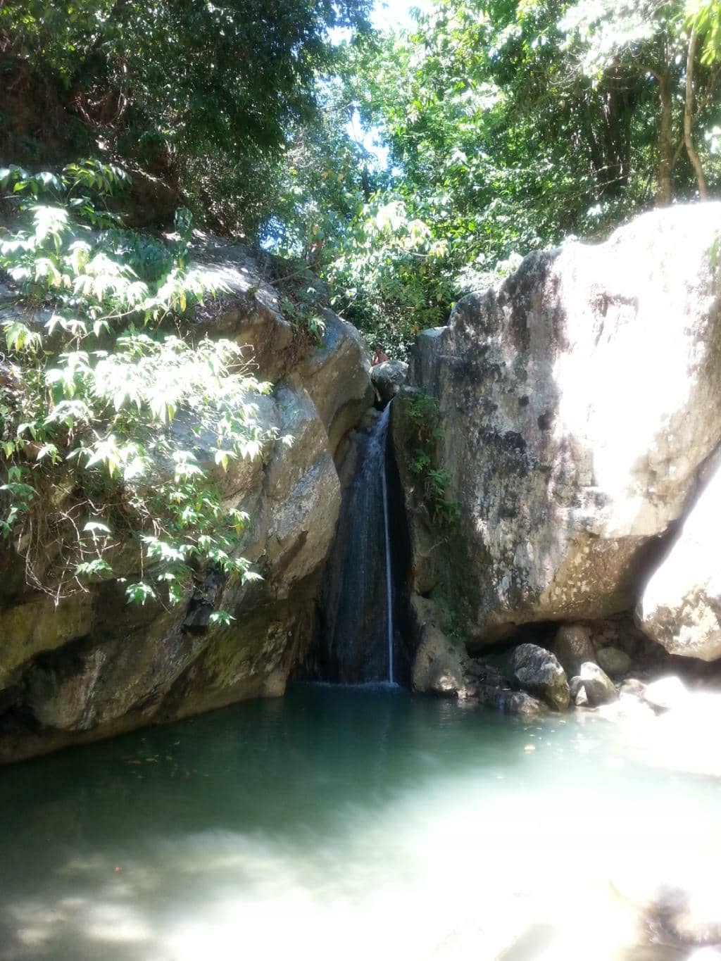 Vertical photo
