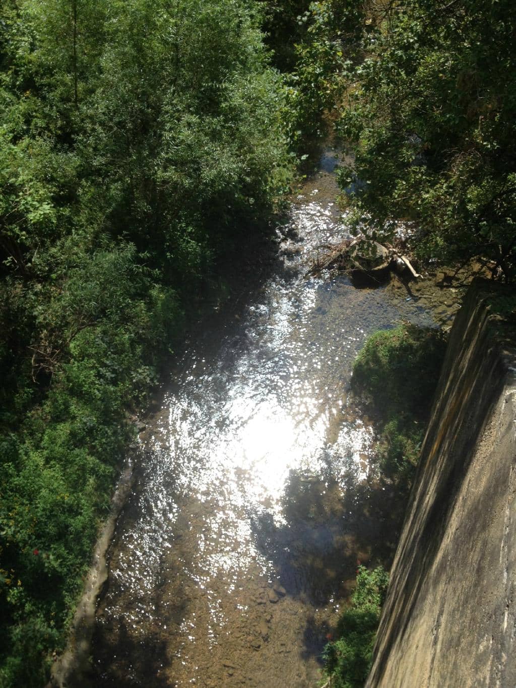 Scenic River Views