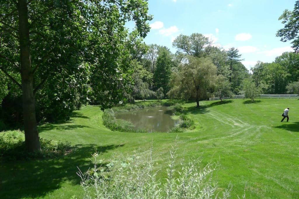 Hand-Painted Wallpaper