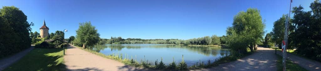 Lush Greenery & Old Trees