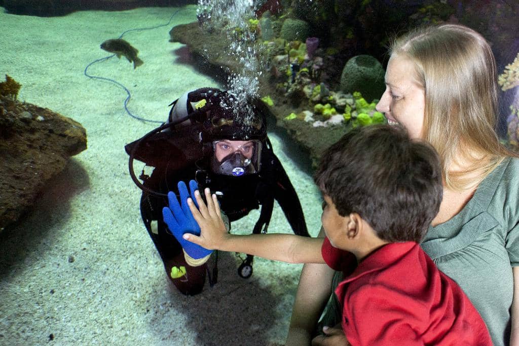 Touch Tanks