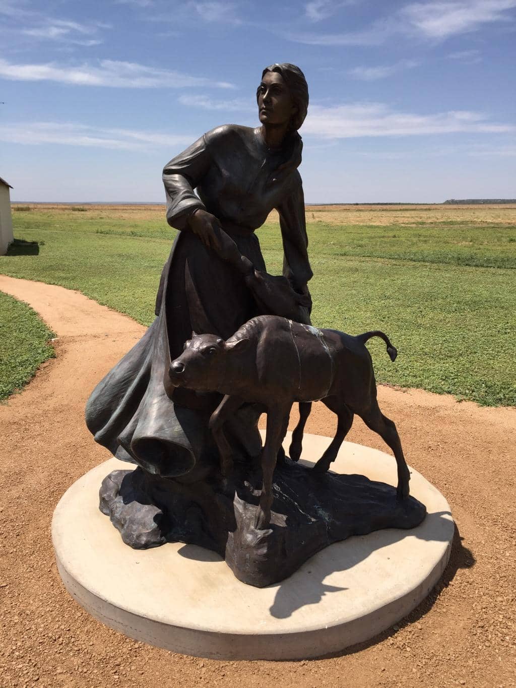 Descendant Bison Herd