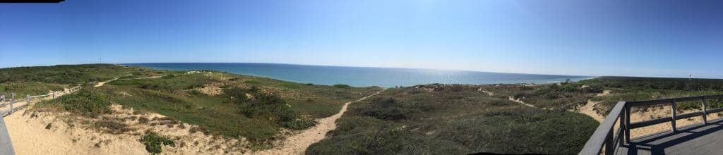 Surfing & Boogie Boarding