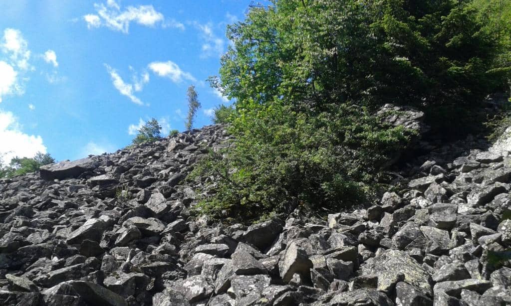 Picnic and Relaxation Spots