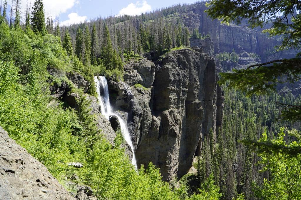 Scenic Forest & Meadow Trail