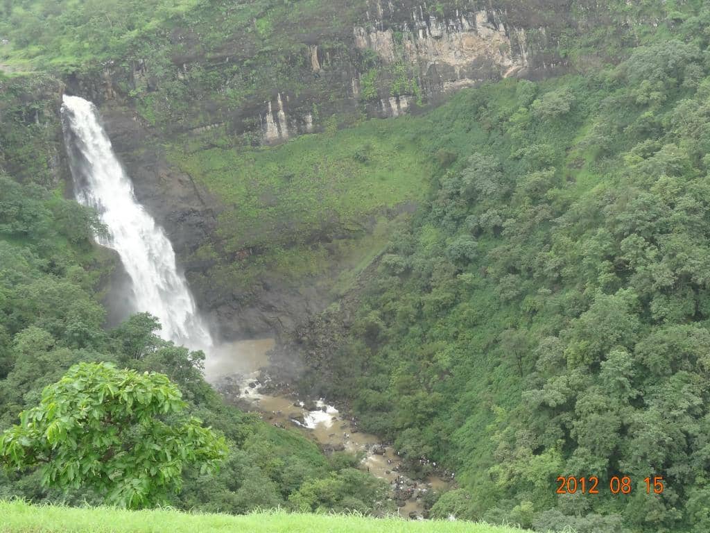 Scenic Trek Through Greenery