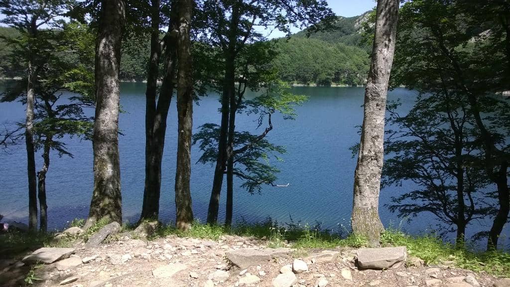 Theaters and Event Spaces