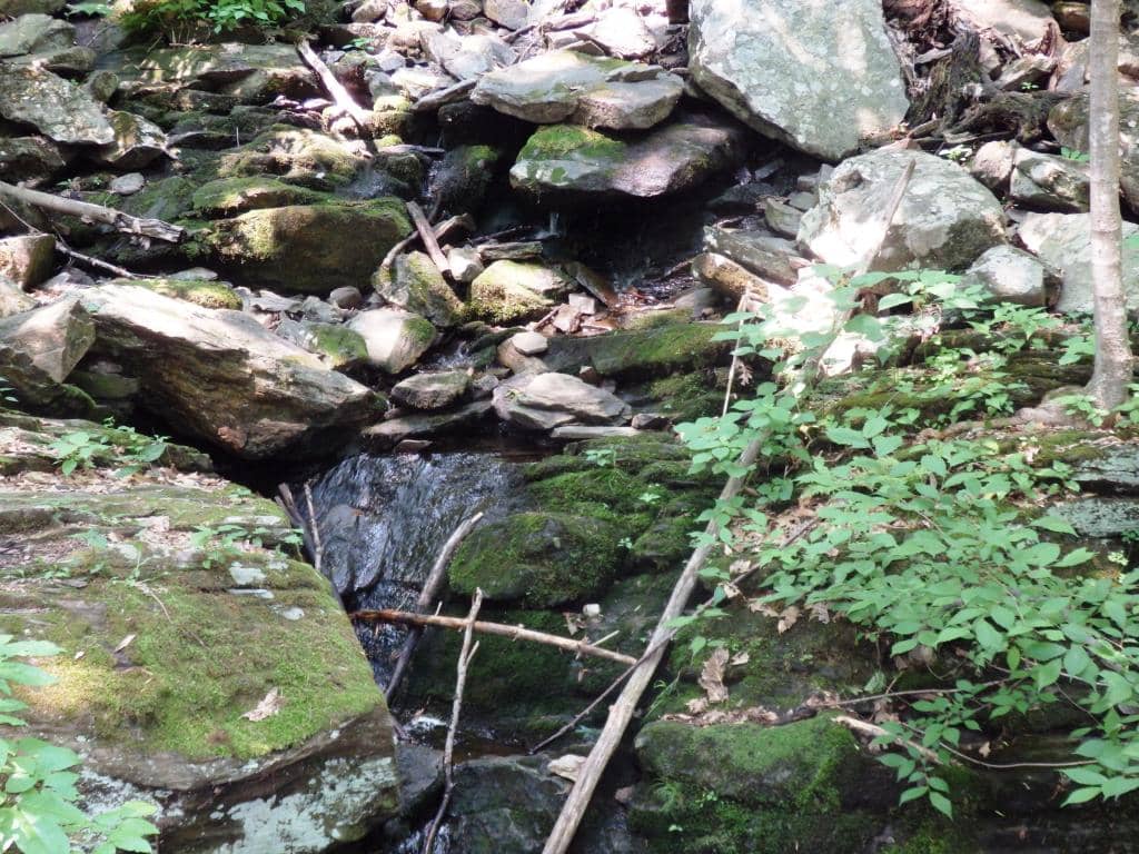 Scenic Walking Trails