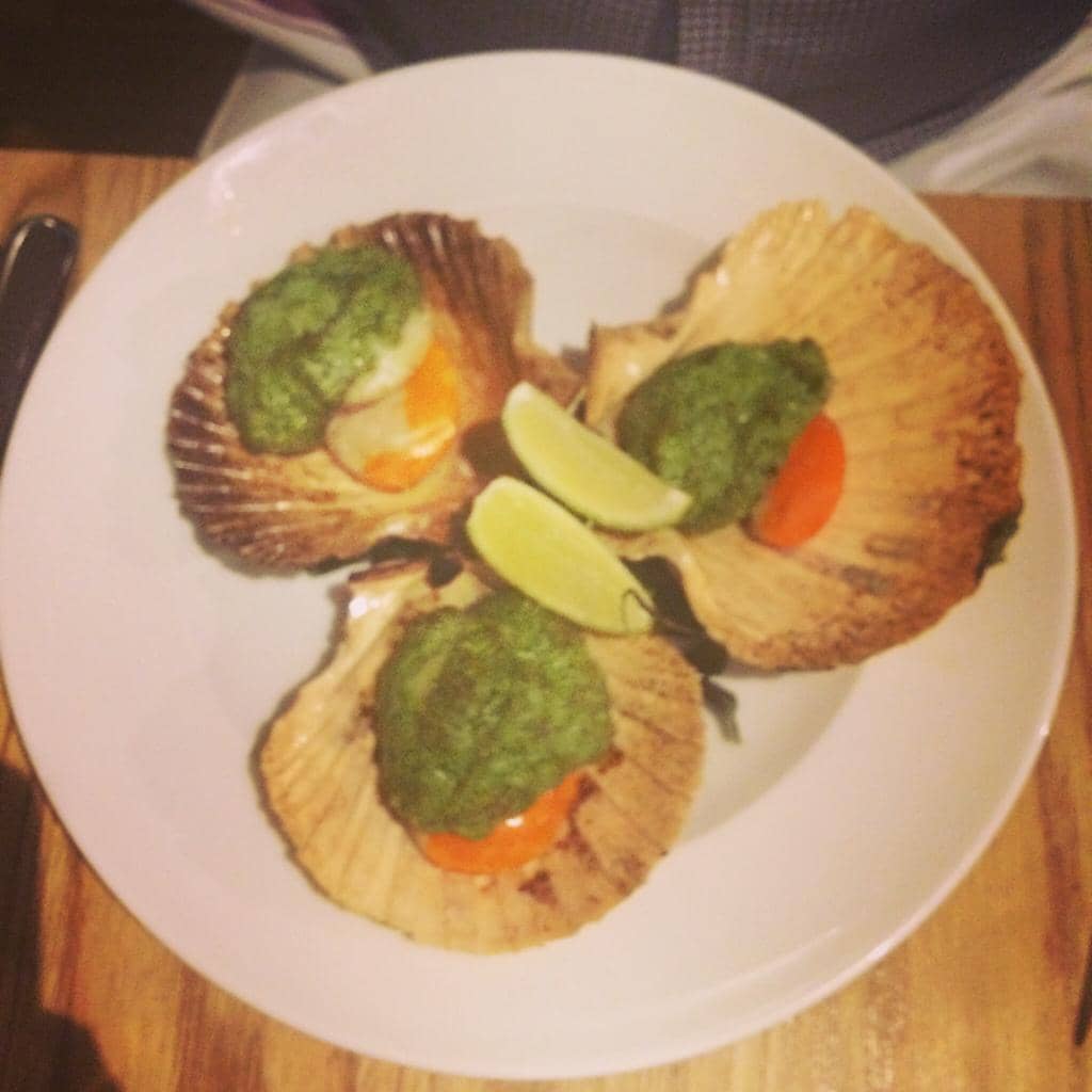 Secret Garden Ambiance