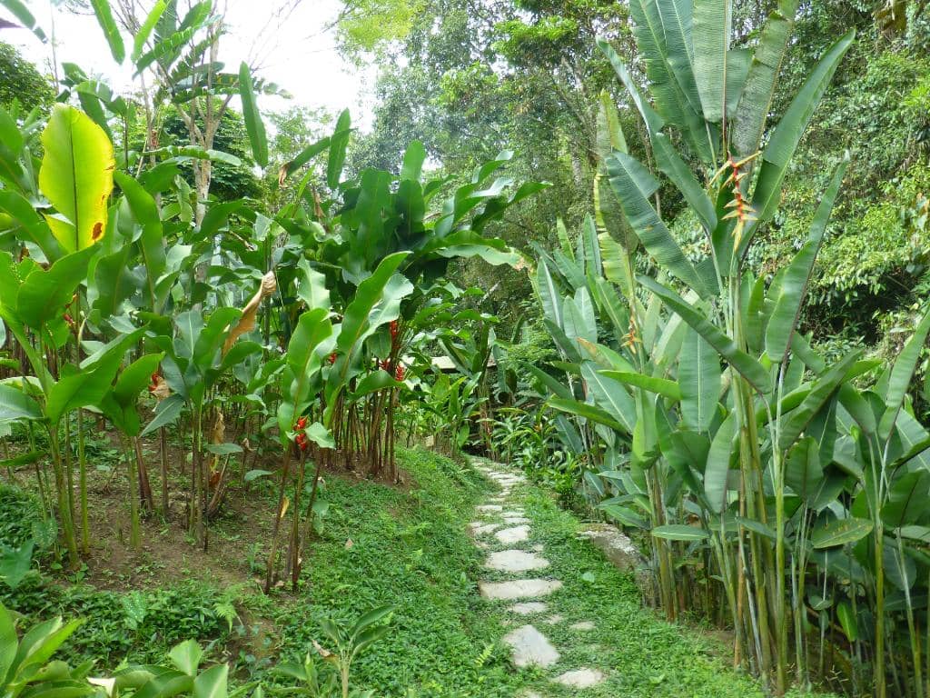 Diverse Flora and Fauna