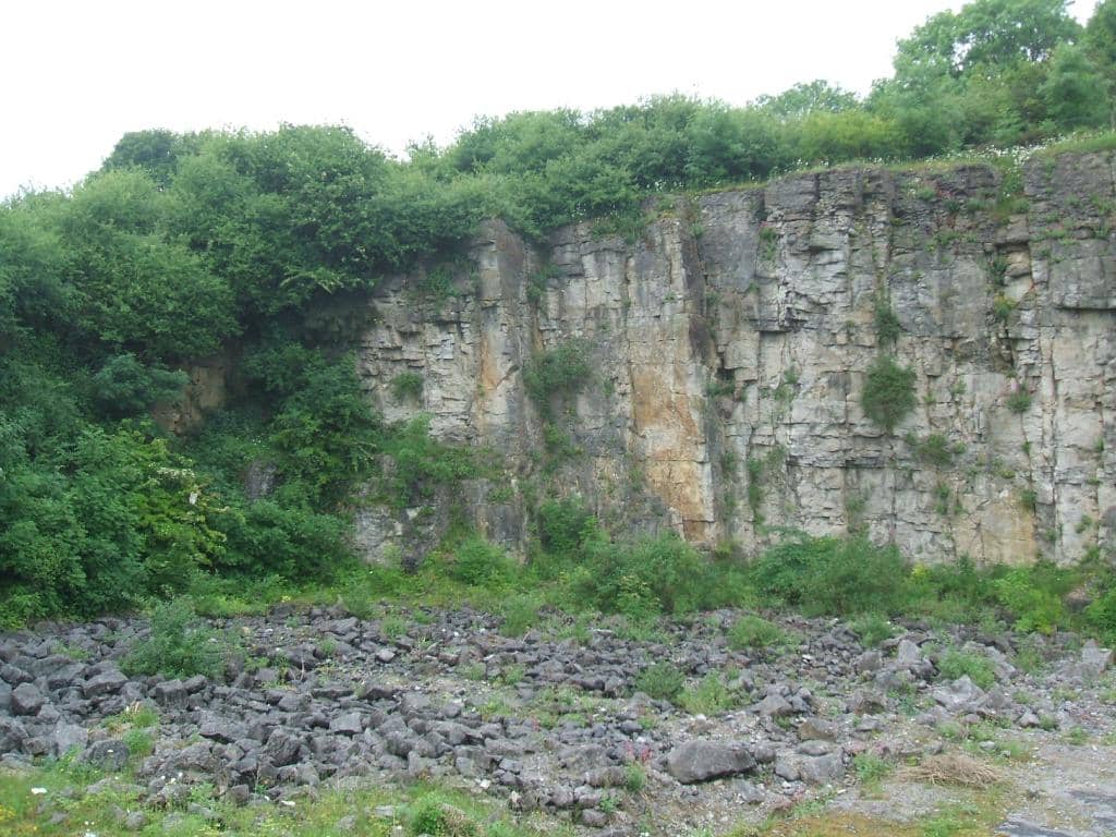 Millennium Wall