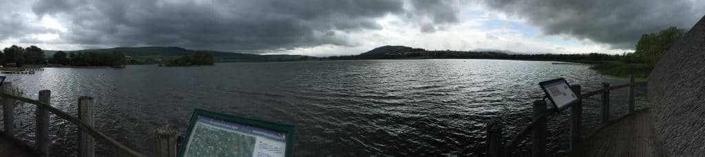 Llangorse Lake Wildlife