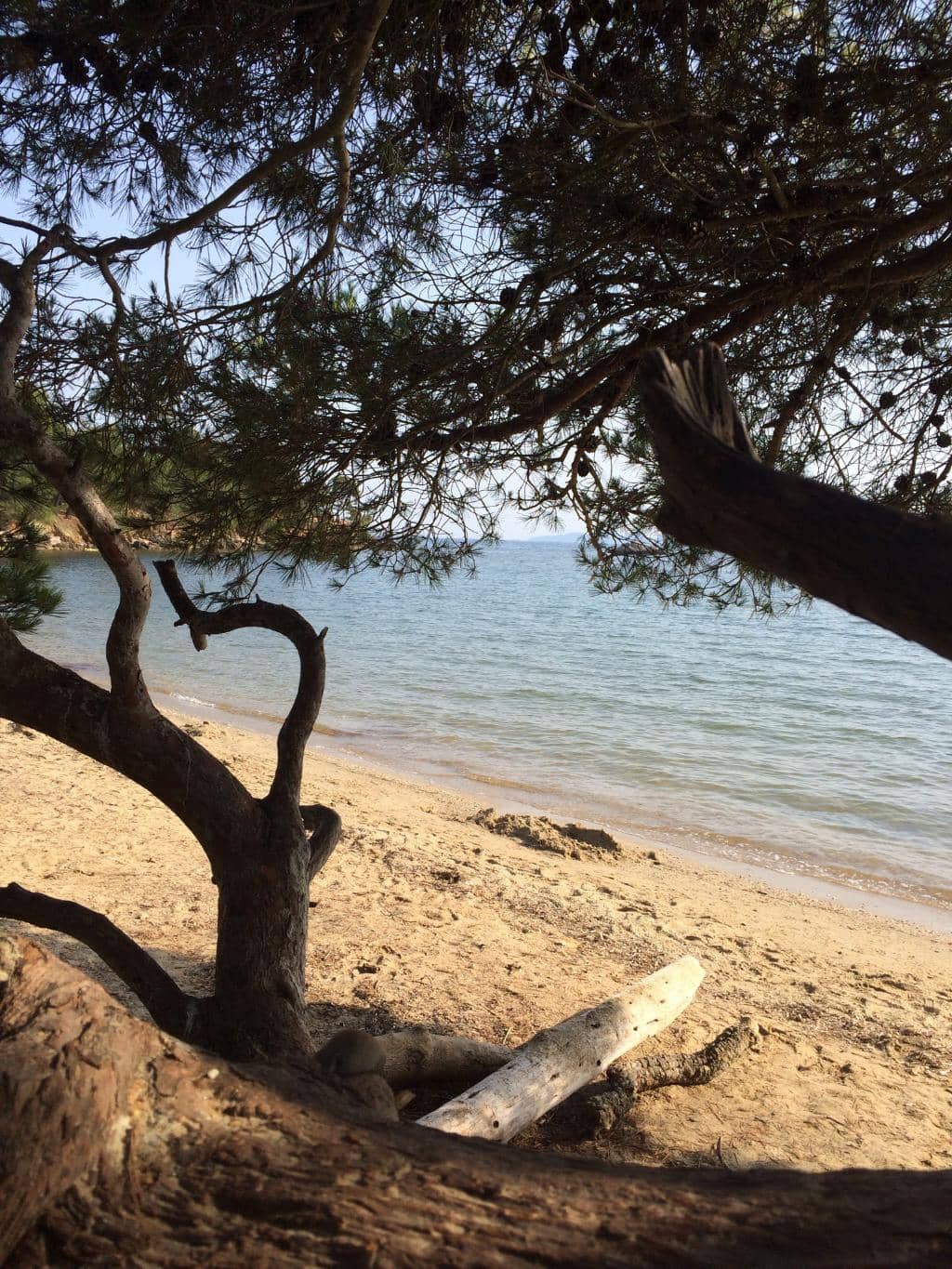 Coastal Path Walks