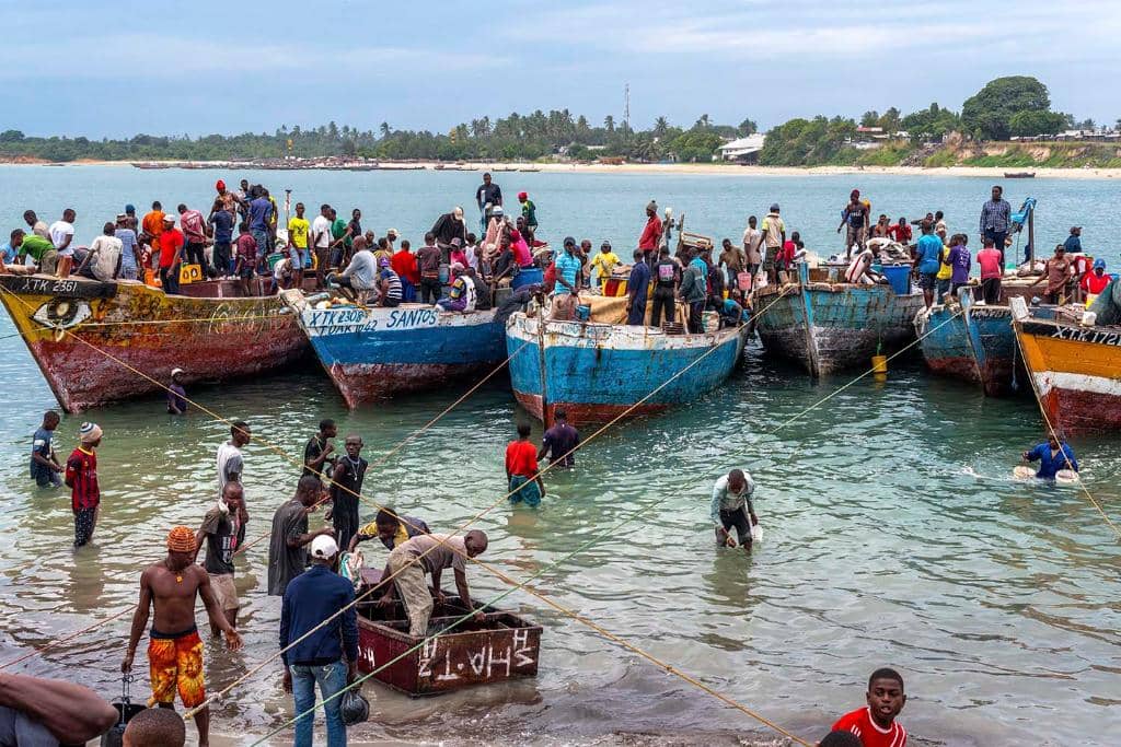 Harbor Views & Ship Activity