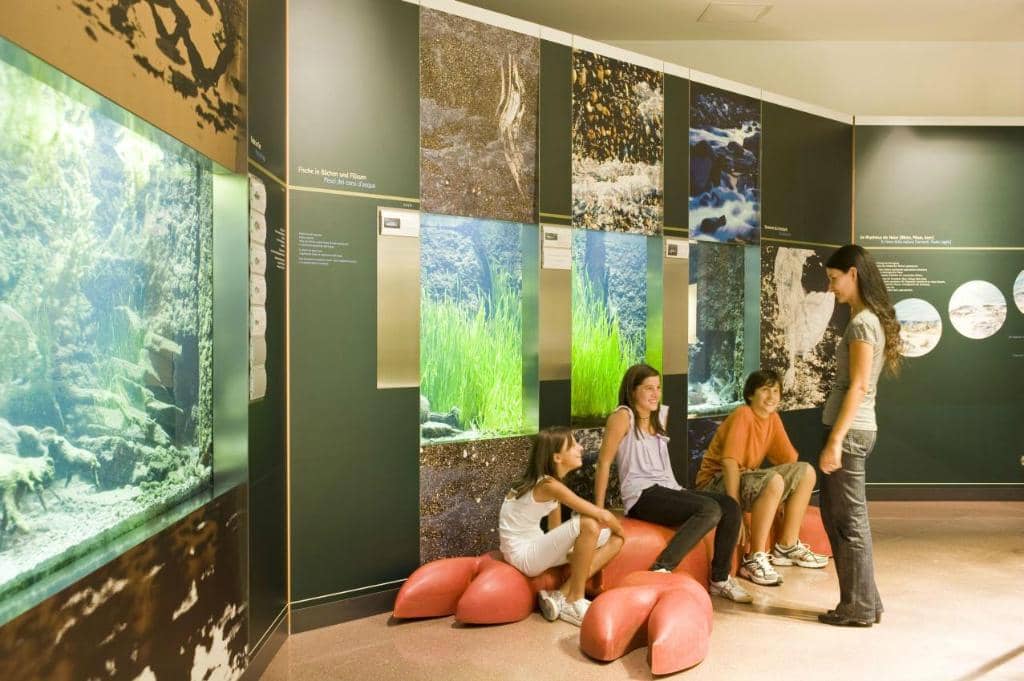 Alpine Aquariums