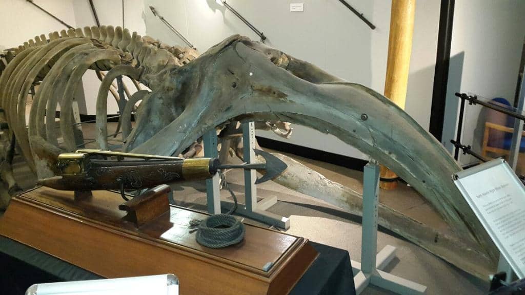 Restored Victorian Court Room