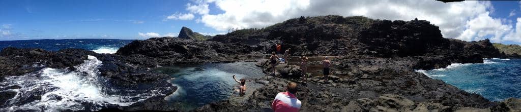 Marine Life Encounters