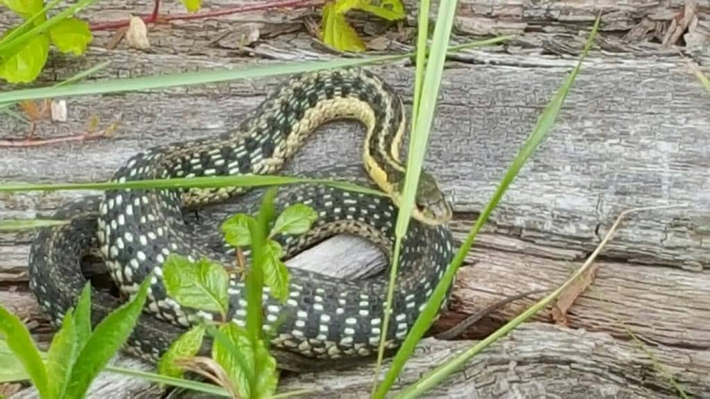 Children's Learning Center