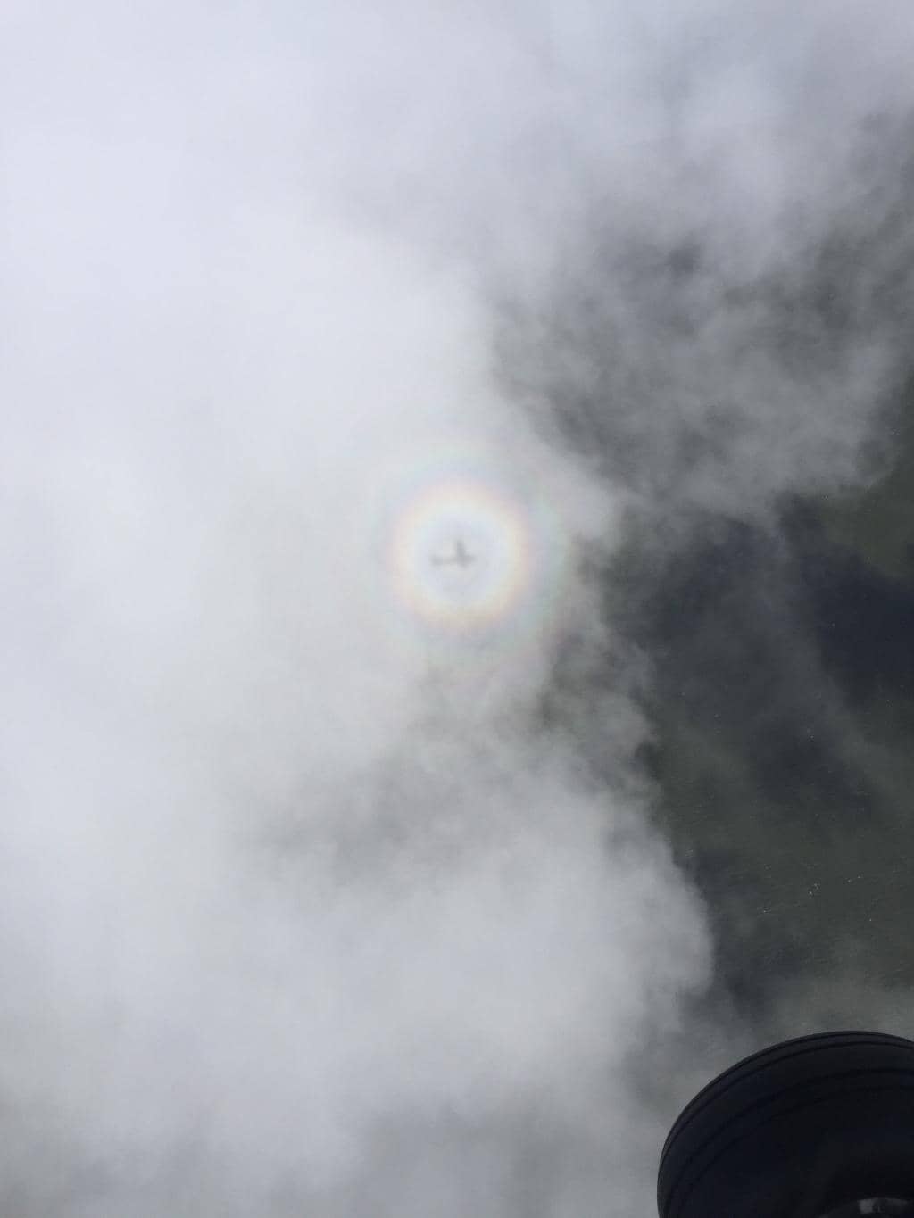 Professional Instructors