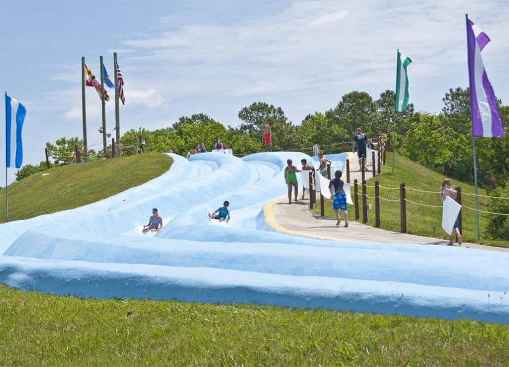 Authentic Western Shows