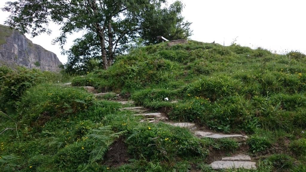 The Phenomenon of Upward Flow