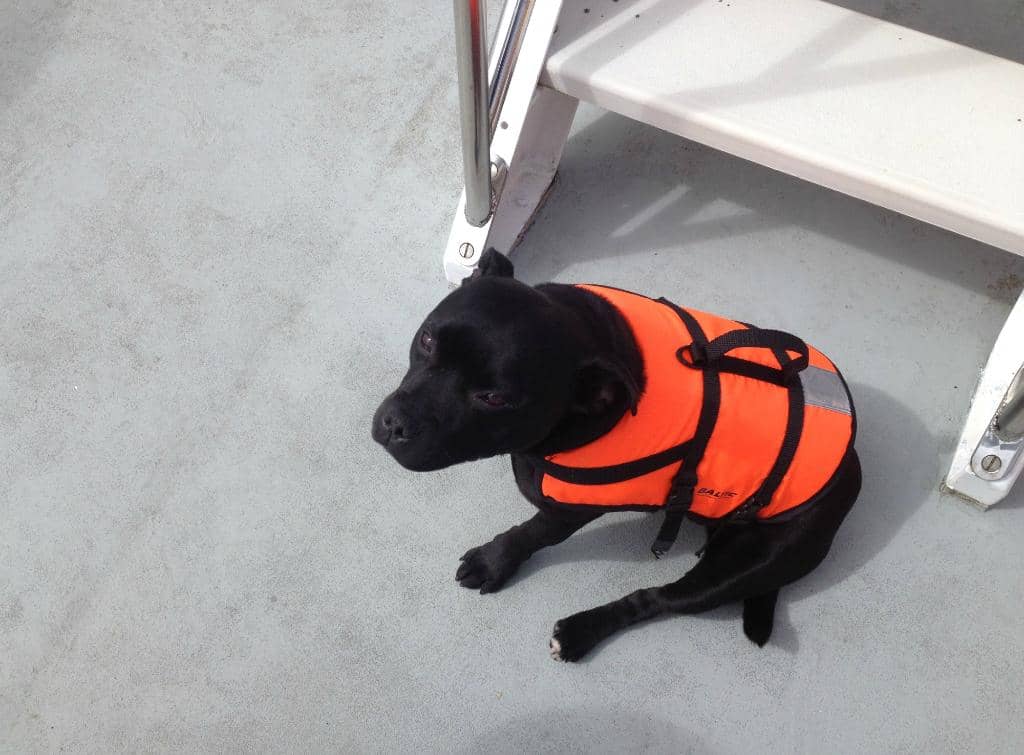 Scenic Peninsula Views