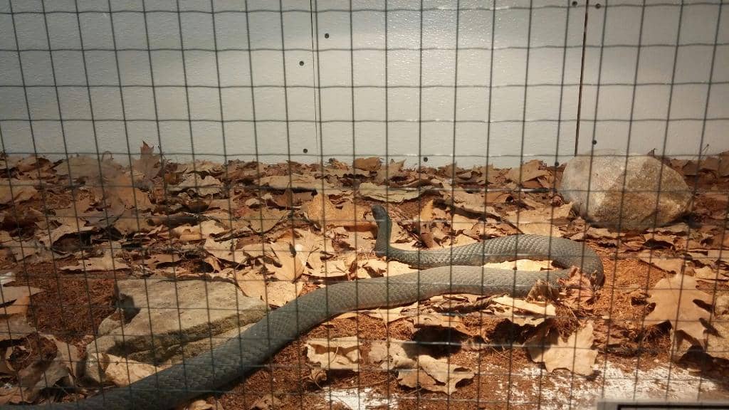 Visitor Center Exhibits