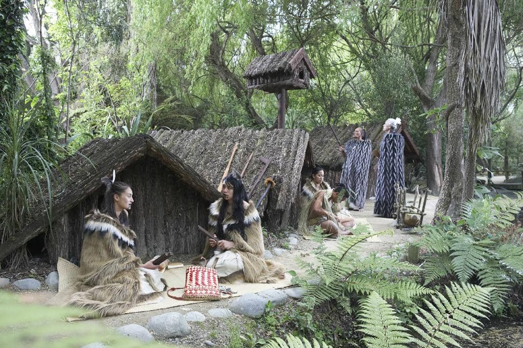 Animal Feeding Experiences