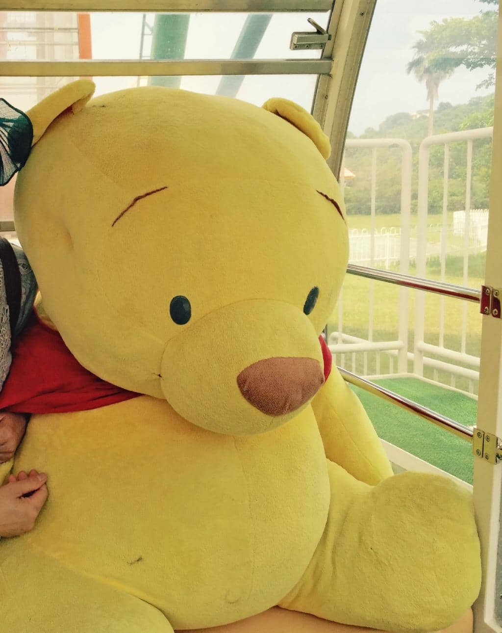 Ocean Views & Picnics