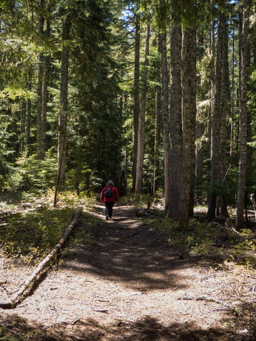 Little Hyatt Lake Trail